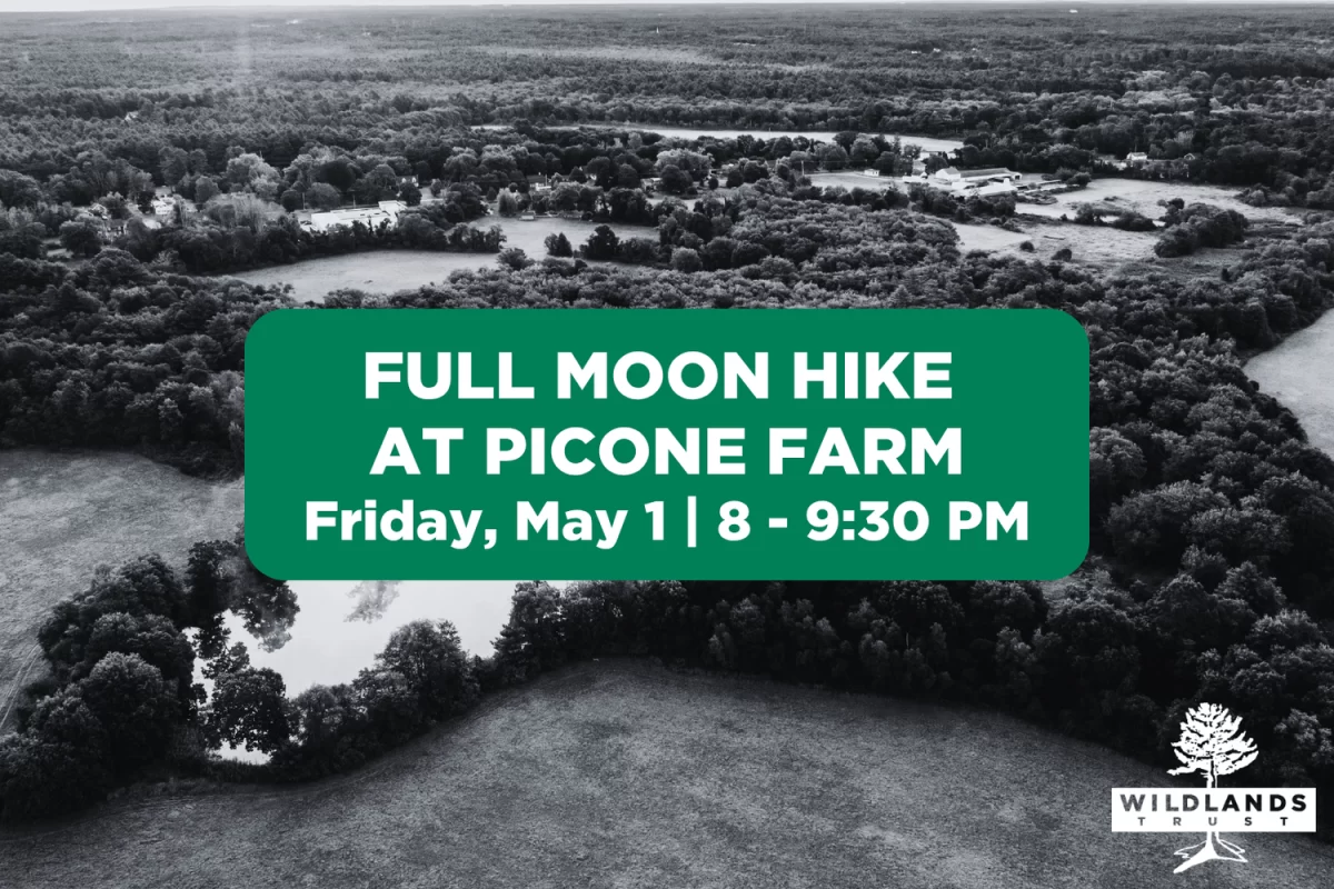 Full+Moon+Hike+(1620+x+1080+px)+(9)