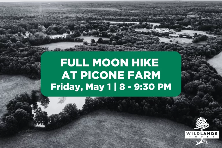 Full+Moon+Hike+(1620+x+1080+px)+(9)