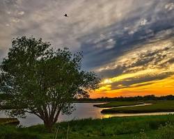 images (10)