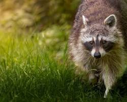 images (15)