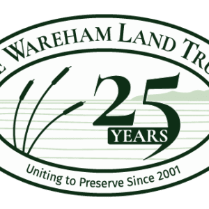 WLT-25-Years-Logo-500px