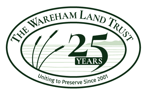 WLT-25-Years-Logo-500px