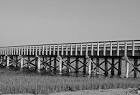 Images 8 1