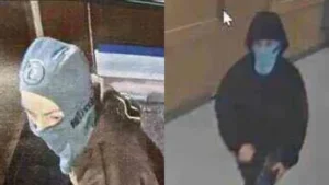 Harvard Med School Suspects 1